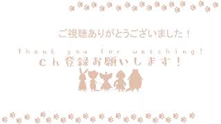 【VTuber】畜生が集まるバーでなにやら面白いことが行われているらしい【Liar's Bar】