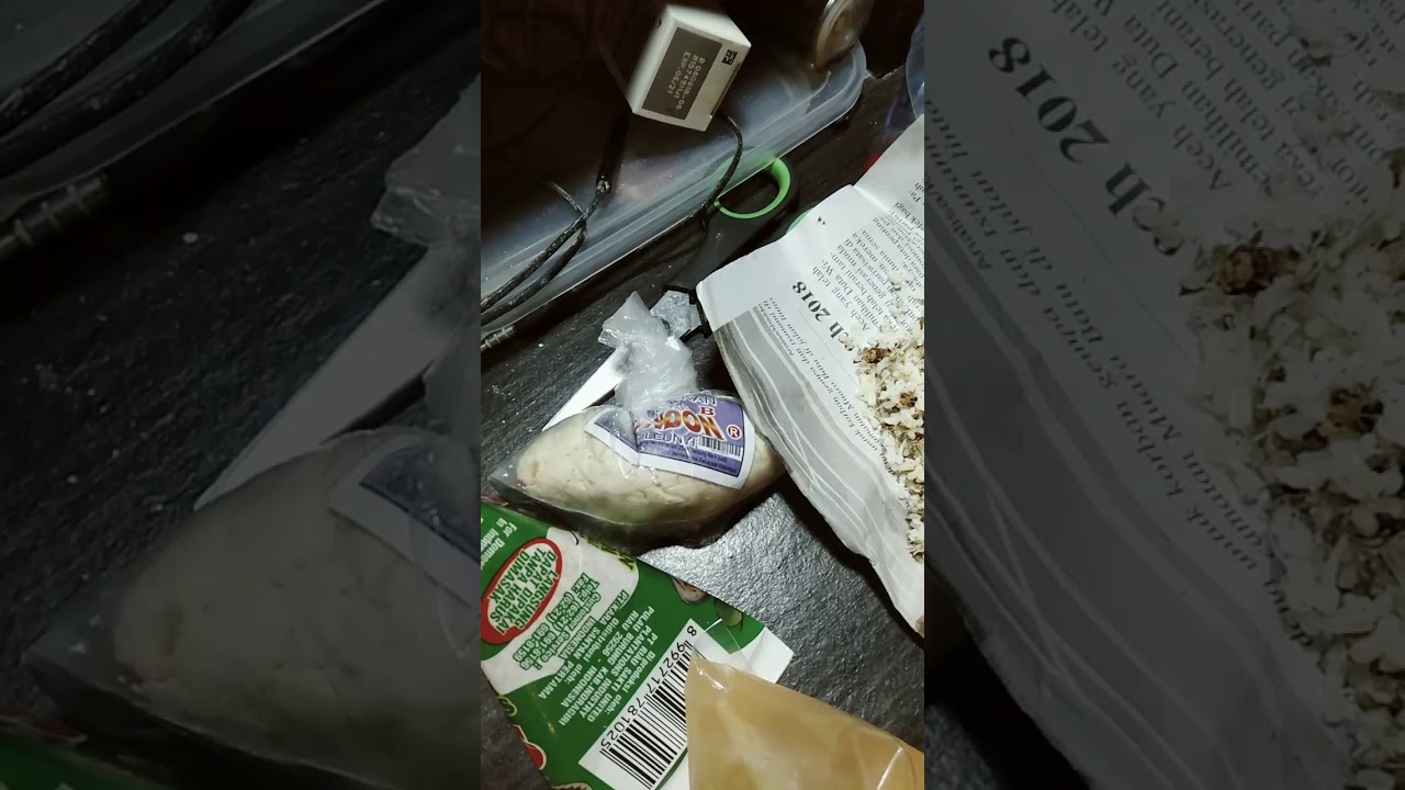 umpan IKAN MAS mantap