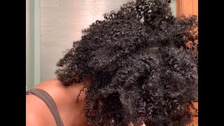 Ayurveda Shampoo For Type 4 Hair | Beginner Friendly