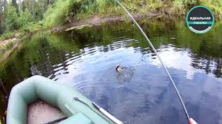 Скоро лето Смотрим видео для настроения Рыбалка на лесной речке 