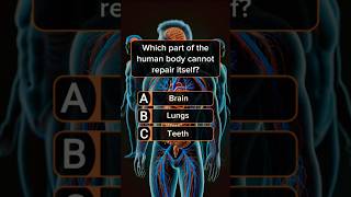 💀 Can You Ace This Anatomy Quiz? #shorts #quiz #trivia