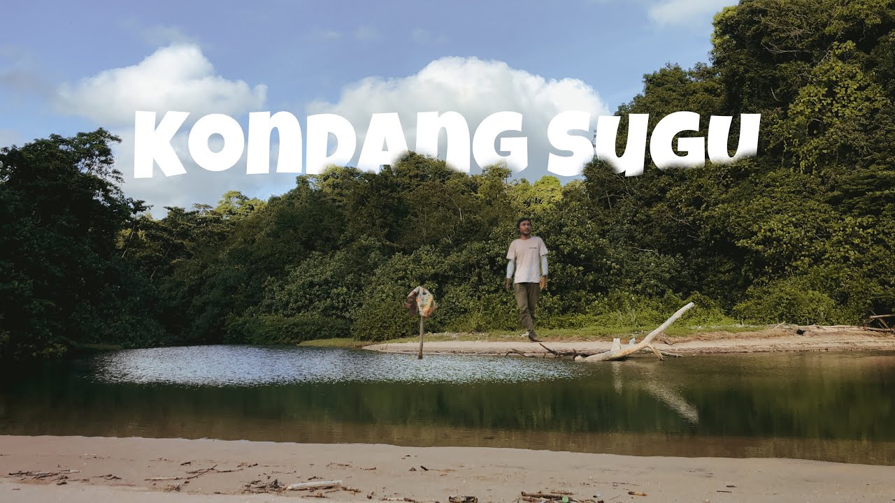 Pelestari - Susuri Hutan Pesisir Selatan Pulau Jawa - Pantai Selatan dan Muara Kondang Sugu