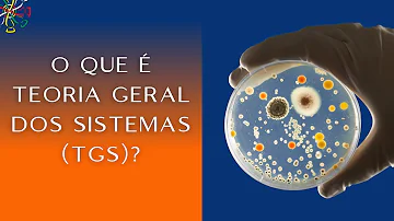 Em que se baseia a teoria de sistemas?