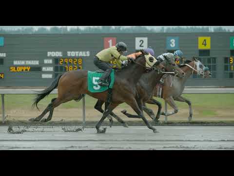 Slow Motion Horse Racing
