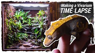 Making a Crested Gecko Vivarium (Time Lapse)