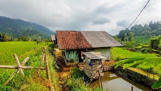 Rumah Tengah Sawah & Keindahan Pelosok Pedesaan Garut Selatan, Alamnya Begitu Indah Bikin Betah