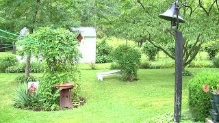 Distraction burglary in Tallmadge