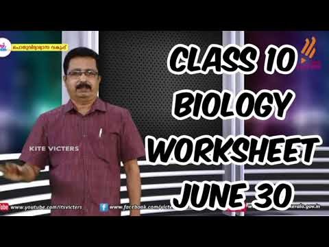 CLASS 10 BIOLOGY WORKSHEET JUNE 30 