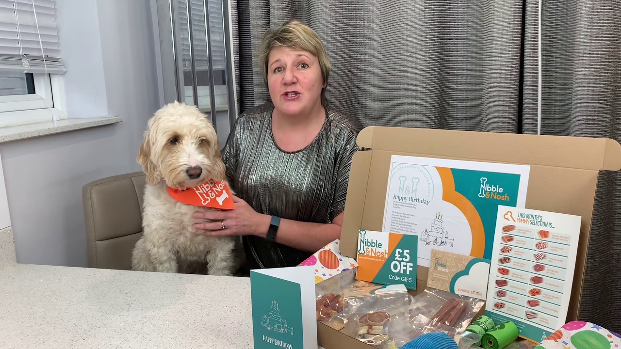Nibble and Nosh Birthday Dog Treat Box