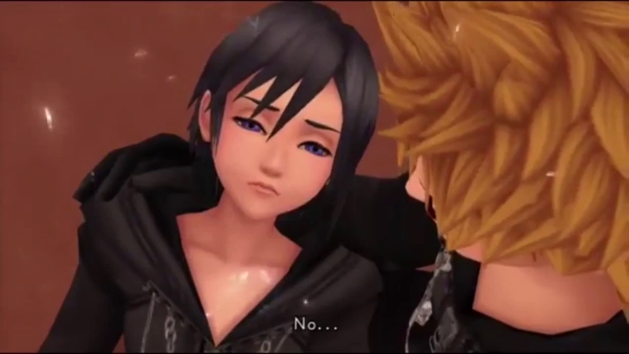 Roxas feels Invisible AMV