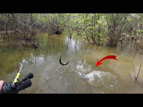 Fishing For Bass When This Happened