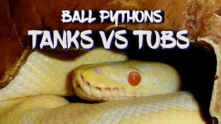 Tanks vs Tubs for Ball Pythons