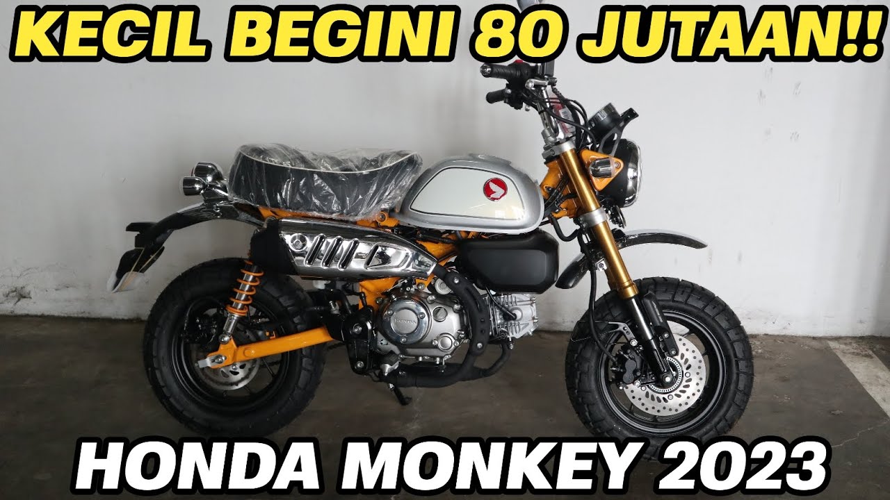 125CC 82 JUTAAN‼️ HONDA MONKEY 2023 - YouTube