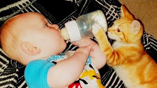Lucu Dan Menggemaskan Ketika Kucing Oren Menjaga Bayi Sebelum Tidur - Video Kucing Dan Bayi Lucu