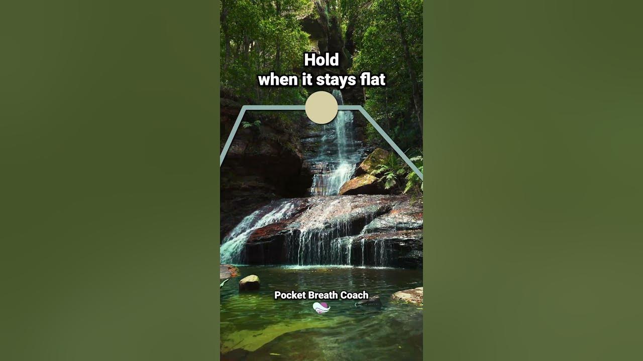 4-7-8 Breathing Timer #breathingmeditation #meditationmusic #breathing 4-7-8 Breathing Timer #breathingmeditation #meditationmusic #breathing