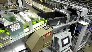 Automatic Apple Scale and Bagger