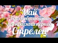 ♐СТРЕЛЕЦ🍀МАЙ 2021/Таро-прогноз/Таро-Гороскоп Стрелец/Taro_Horoscope Sagittarius/Spring/May 2021.