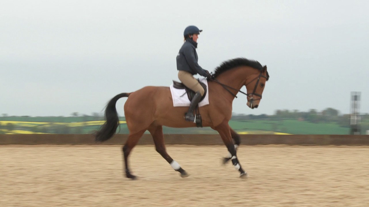 Vary your horse's canter rhythm over two poles on the ground