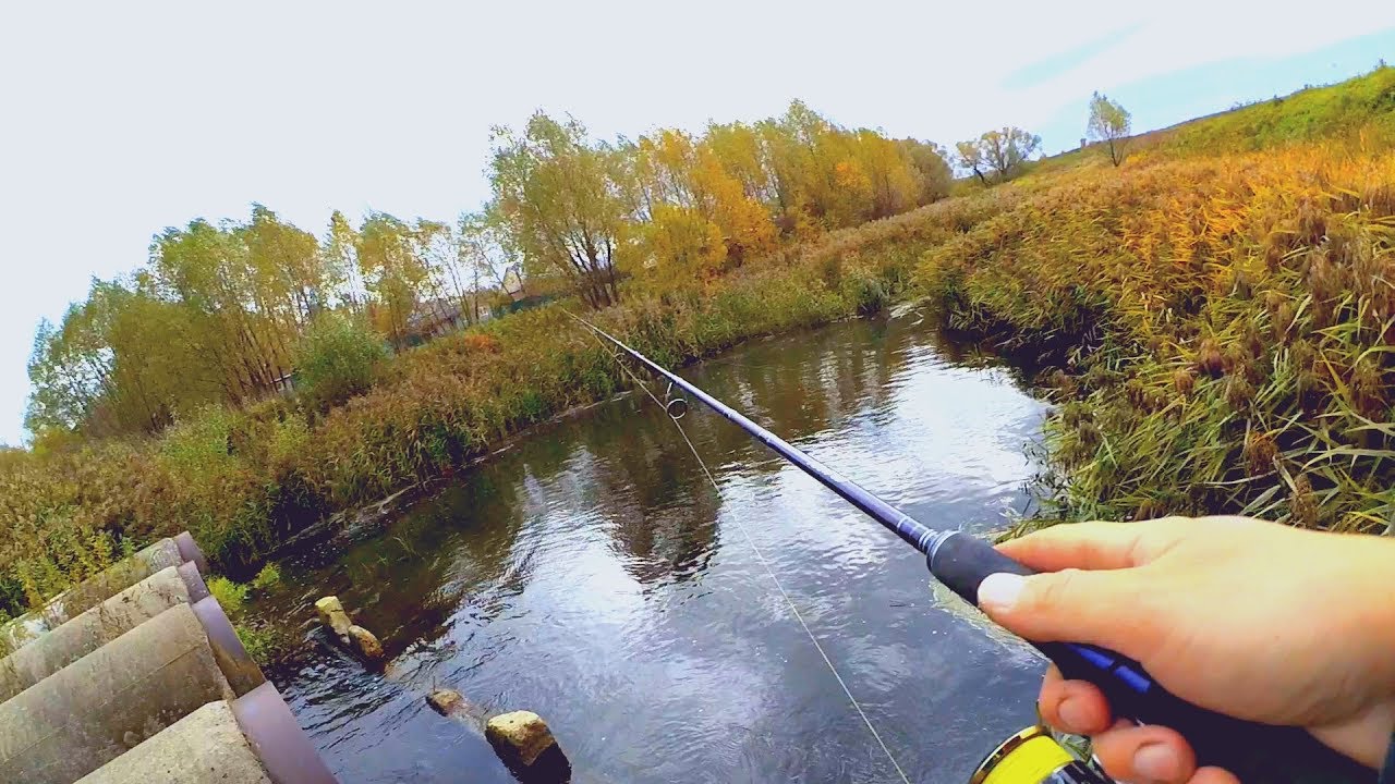 Ribalka video. телеканал диалоги о рыбалке. телеканал рыбалка. передача про рыбалку. канал рыбалка видео.