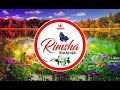 Rimsha Name | Status Video | Hamii Graphics 💗💗💗