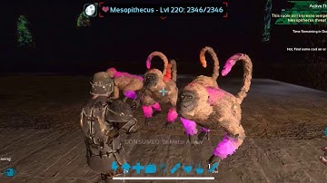 Ark mobile how to run the Furious maze of the ape