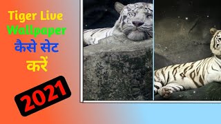 How to set live wallpaper on android with sound || kaise set kare Tiger live wallpaper || screenshot 2