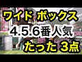 【馬券検証】ワイド4.5.6番人気ボックスたった3点【馬券勝負】