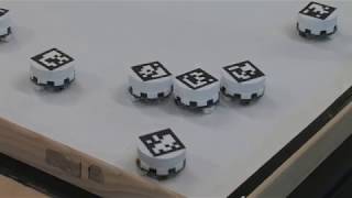 Insects—Models for Robots