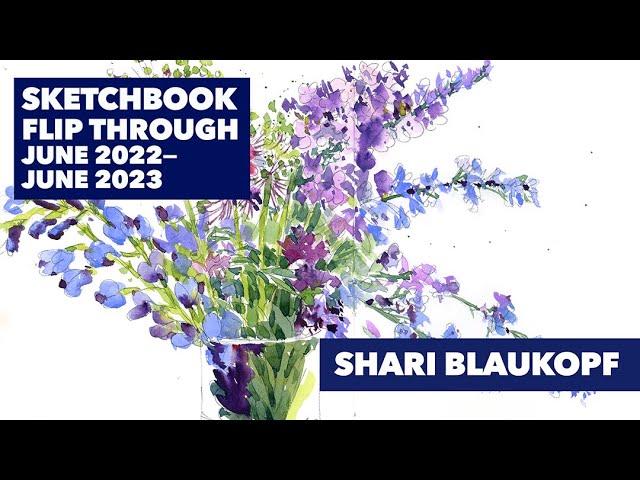 Shari Blaukopf's Sketchbook