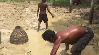 Amazing Catch Fish in Village - Catch Fish Khmer Traditional Tool (Ang Roth)