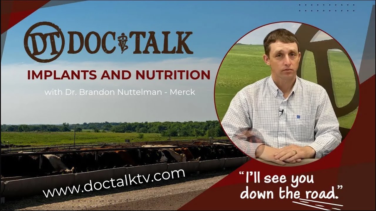 DocTalk 713 The Benefits of Implanting Calves with Dr. Nuttelman