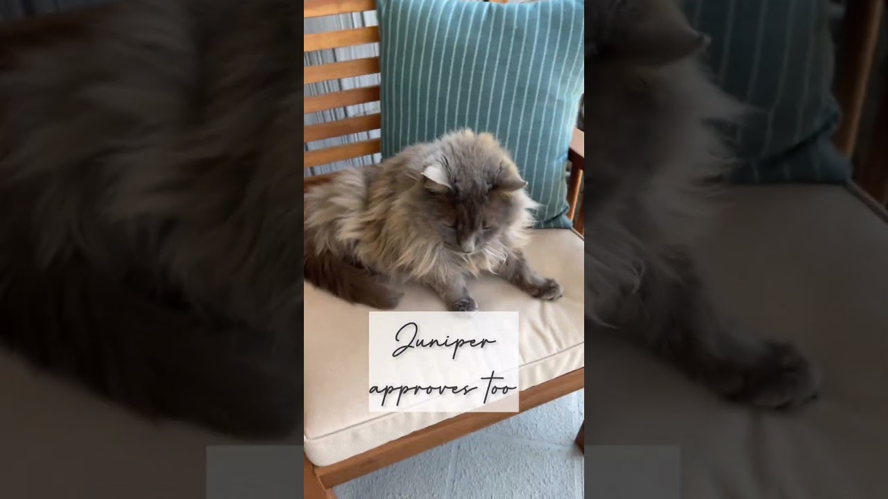 Nord Moroccan Tribal Indoor Outdoor Blue Flatweave Rug