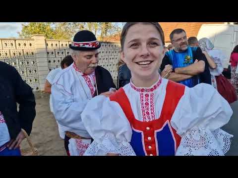 VACENOVICE-SLOVÁCKÉ HODY 2023