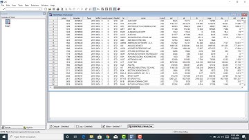 SAS Tutorial 2   Reading Data Into SAS