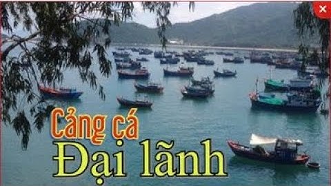 Cảng Cá Đại Lãnh Ngày Đầu Năm Cá Về Tấp Nập