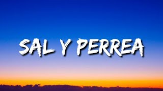 Sech - Sal y Perrea (Letra/Lyrics/Song)