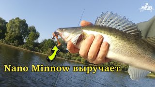 Crazy Fish VS Hot Pepper ) Баттл с гидом. Рыбалка в Калининграде.
