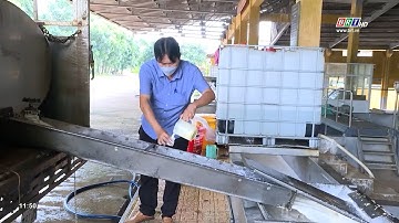 Năm 2023, Công ty Cổ phần Cao su Bà Rịa phấn đấu đạt tổng doanh thu hơn 529 tỷ đồng | BRTgo