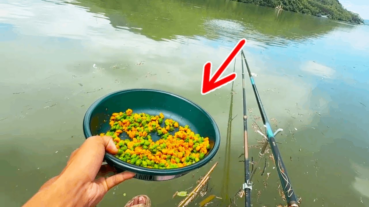 三天上了三條小羅非，沒釣魚的就別釣魚了，白瞎這麼多窩料了！【野釣長空】#釣魚