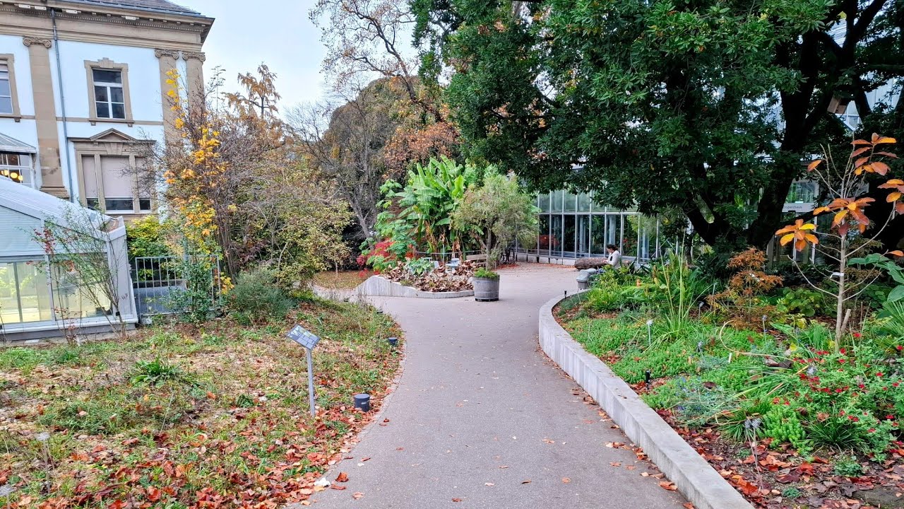 Mind Blowing Basel Botanic Garden Switzerland - YouTube