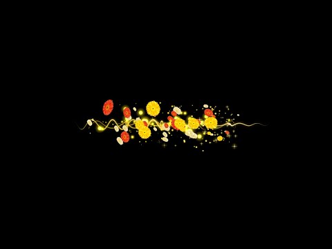 草花【黄色いガーベラ（文字用）】自作動画編集用の無料（フリー）合成用動画素材集｜結婚式の映像制作や習い事のビデオ、美容の動画編集がおススメ｜きれいな映像にも、かわいい系のビデオにも合う
