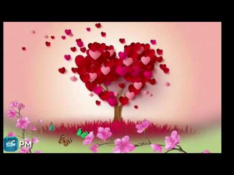 Xanim Zehra Movludu - Whatsapp Status Ucun