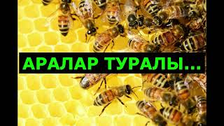 Аралар туралы өте қызықты мәлімет