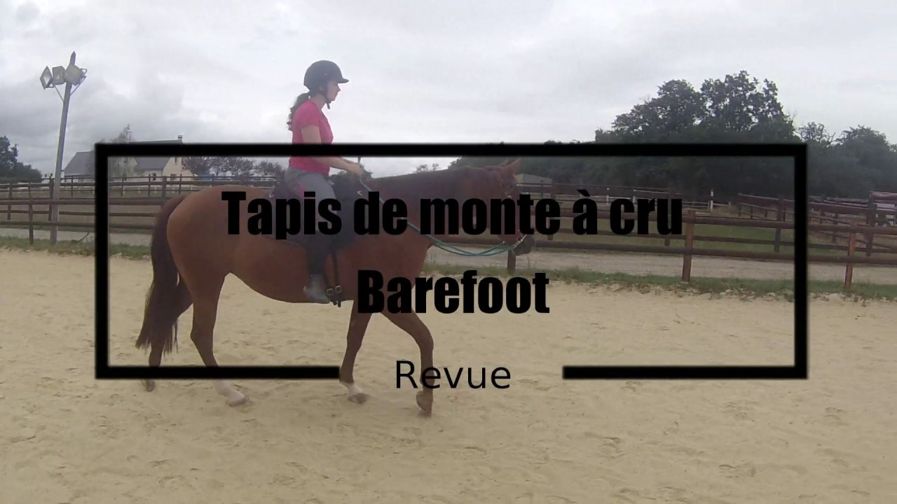 Revue Tapis De Monte à Cru