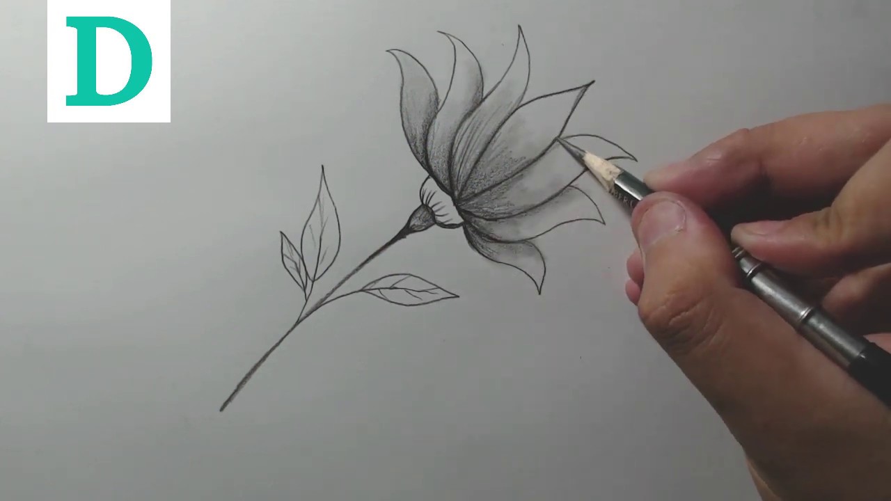 Qualquer pessoa pode desenhar flores: Tutorial de desenho passo-a