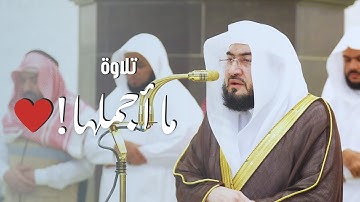 ما أجملها من تلاوة! من سورة العلق  🍃  | الشيخ د. بندر بليلة