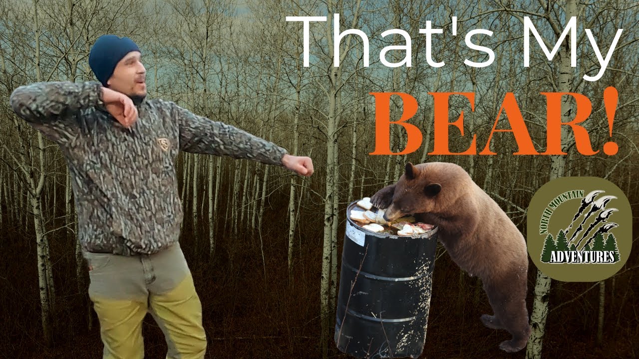 That’s My Bear! | Manitoba Black Bear Hunt