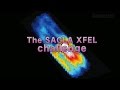 Sciencenews2014the sacla xfel challenge observing living cells