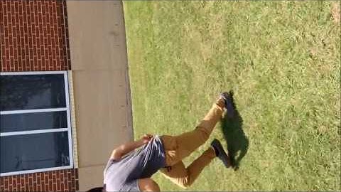 Physics Collisions Project