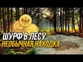 Шурф в лесу! Необычная находка!